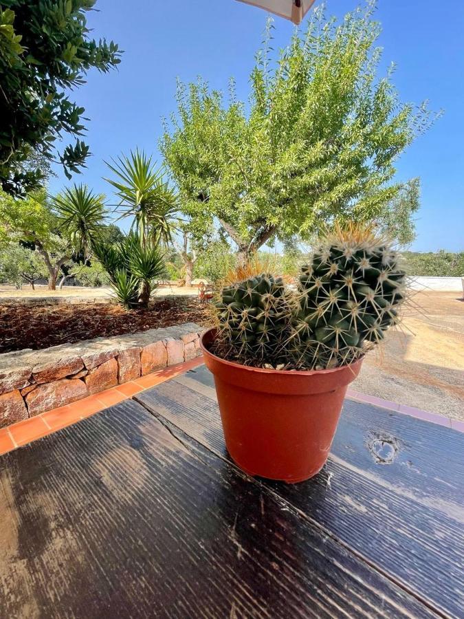 Residenza Fumarola Apartment Ostuni Bagian luar foto