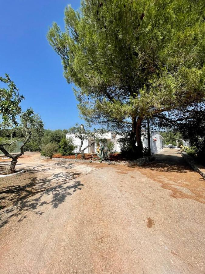 Residenza Fumarola Apartment Ostuni Bagian luar foto