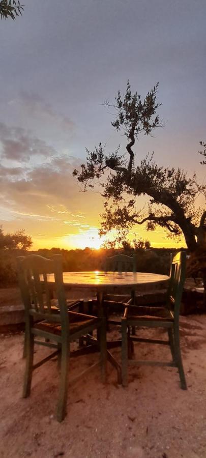Residenza Fumarola Apartment Ostuni Bagian luar foto